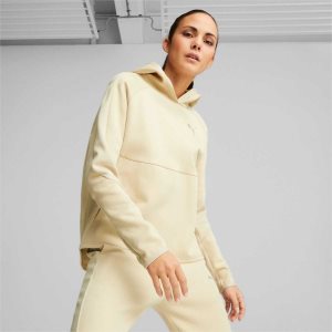 Puma Evostripe Hoodie Sweatshirts Damen Mehrfarbig | IWDNZCL-37