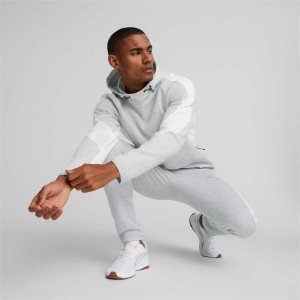 Puma Evostripe Hoodie Sweatshirts Herren Hellgrau | SFBGHVN-92