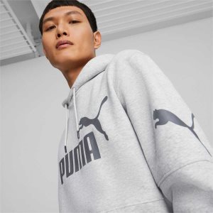 Puma Power Colourblock Hoodie Sweatshirts Herren Hellgrau | WIKMSPY-42