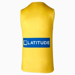 Puma Richmond Football Club Replica Clash Guernsey Jersey Herren Gelb | FHXENDA-72